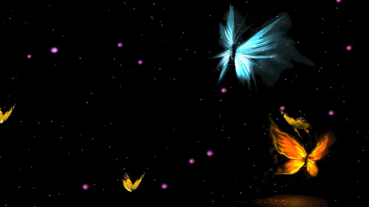 flashing lights (1).png