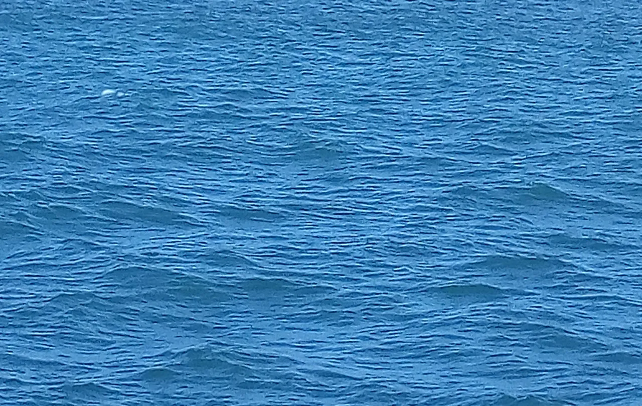 IMG_20180429_211428_595.JPG