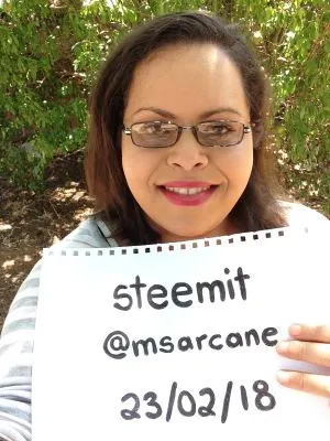 Steemit intro photo.jpg