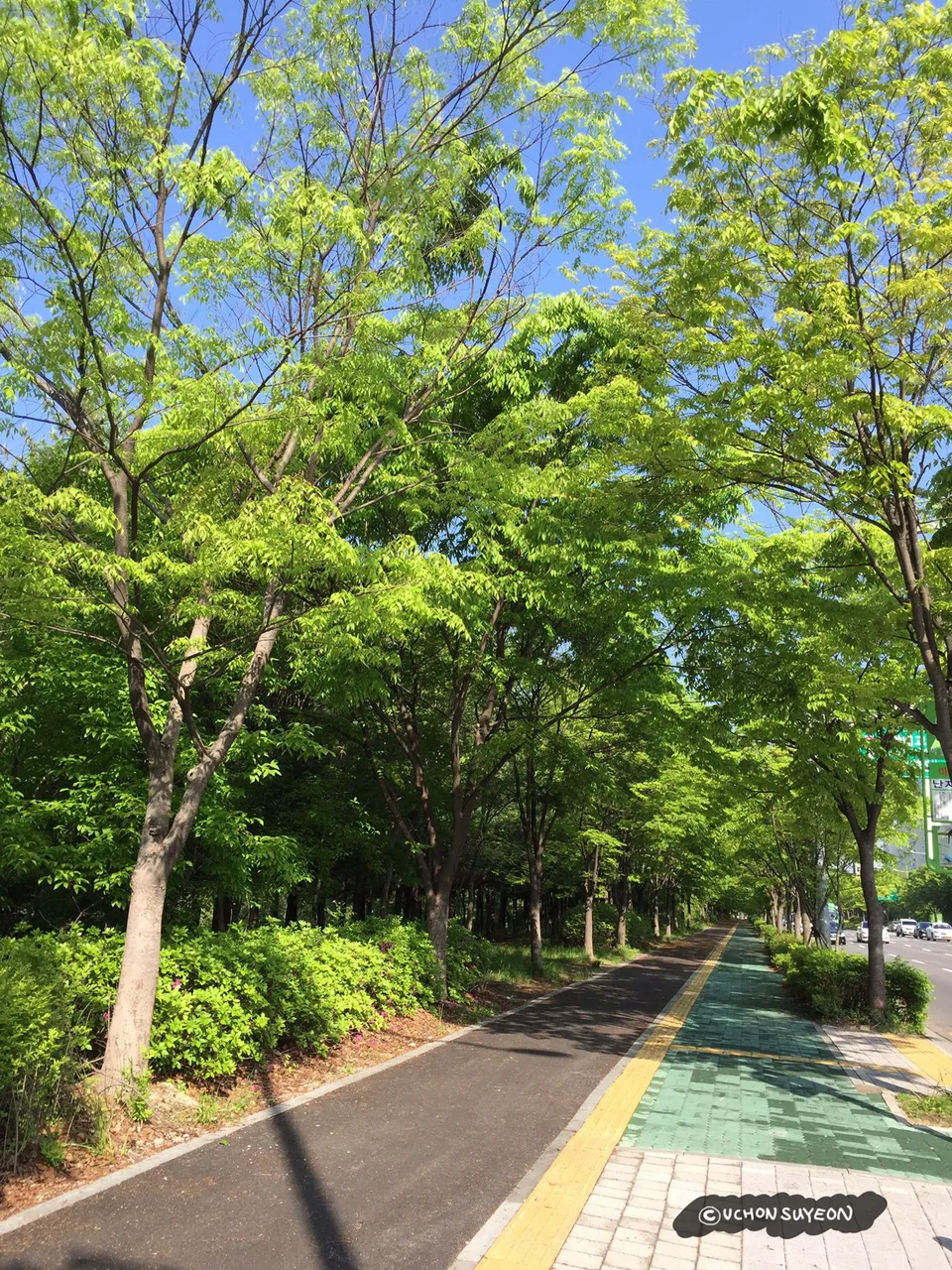 20180503_uchonsuyeon_p1.jpg