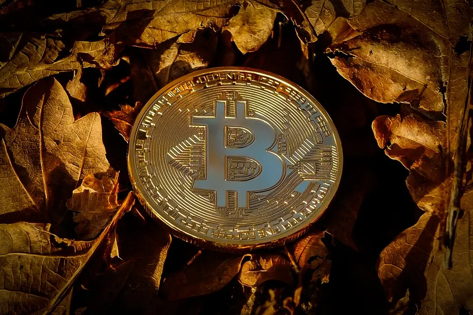 bitcoin-3327924_960_720.jpg