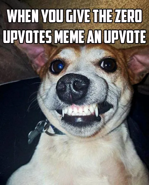 smiling dog upvotes.jpg