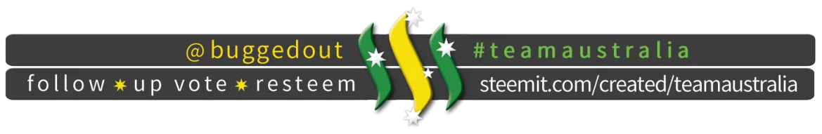 teamaustralia_buggedout.png