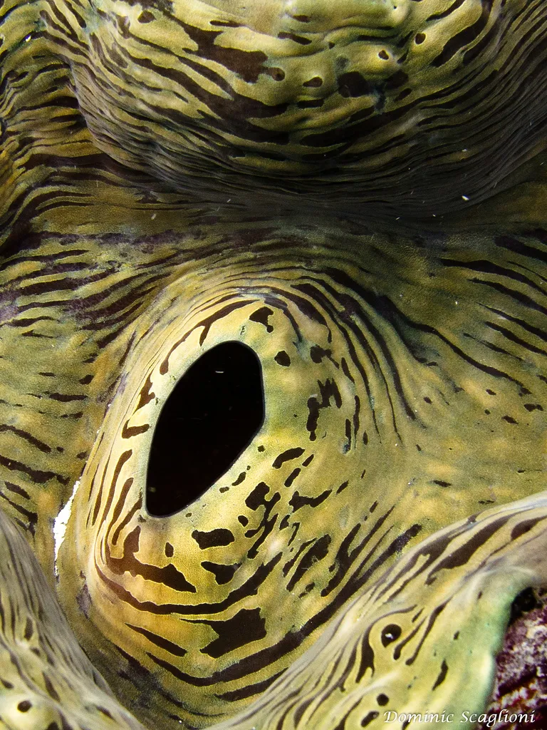 6968193845_70d19252b1_b.jpg