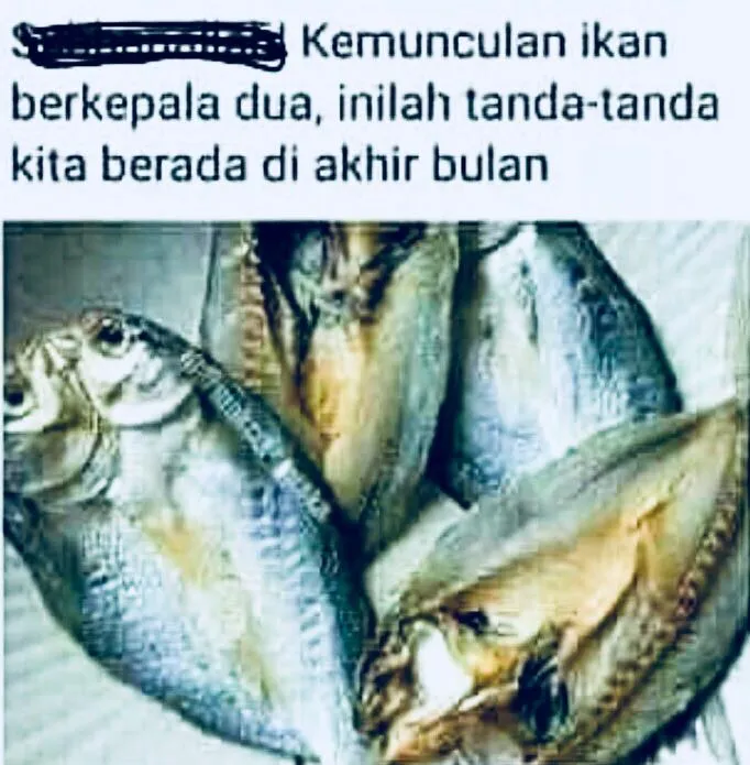 ikan berkepala dua.jpeg