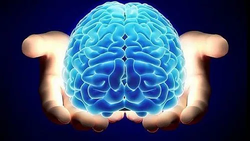 Problemas-en-el-cerebro.jpg
