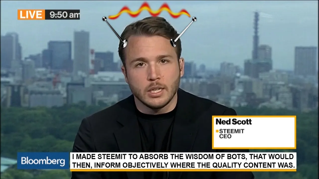 steemit ceo ned scott bloomberg interview