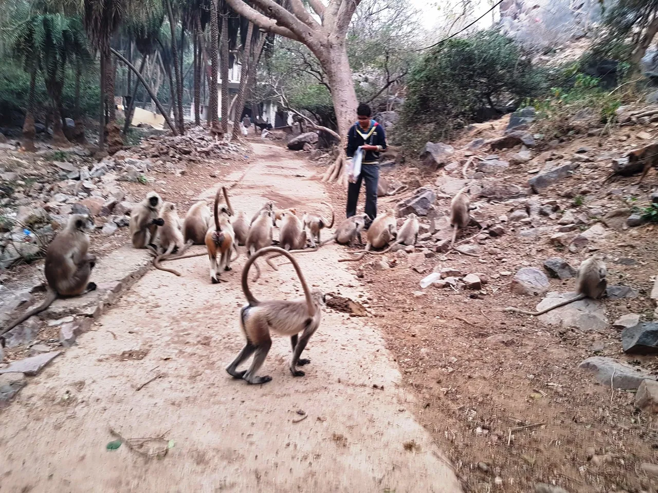 parson-temple-faridabad.jpg