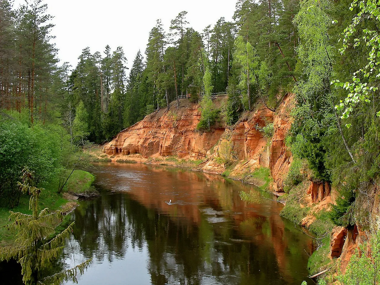 latvia forest river.jpg