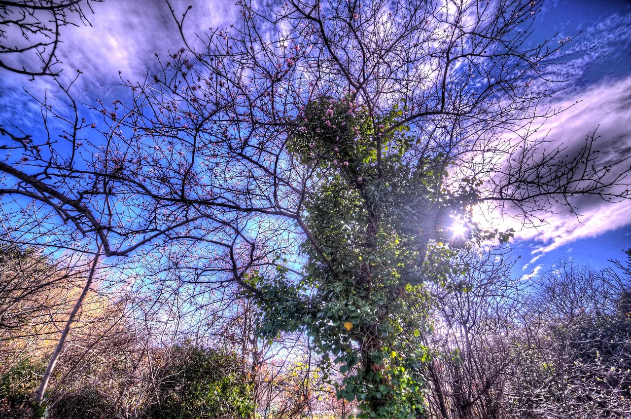 IMG_8022_3_4_tonemapped.jpg