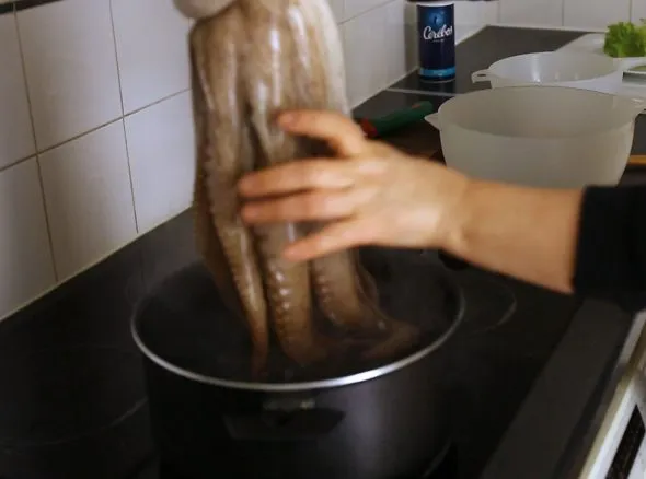 putting-octopus-590x438.jpg