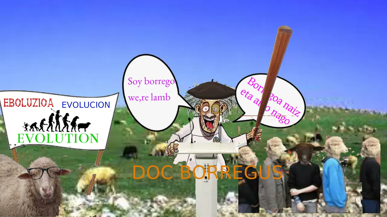 BARNER DOC BORREGUS.jpg