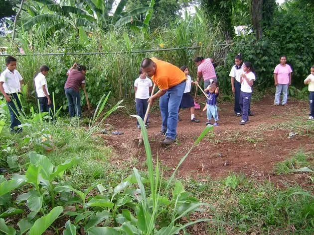 Resultado de imagen para toda la familia cosechando en el huerto de la escuela