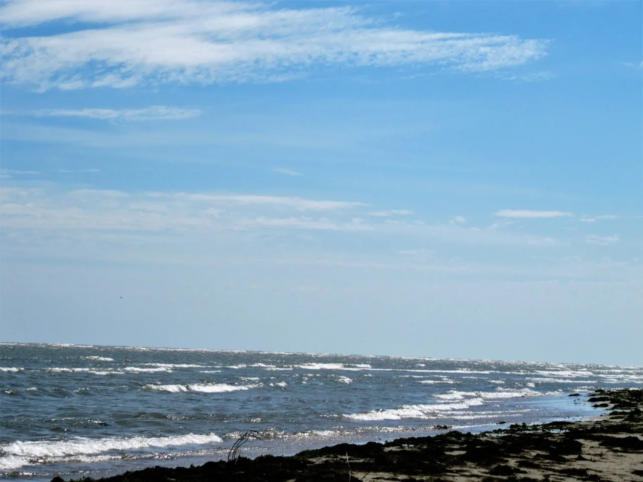 IMG_5463189af8.jpg