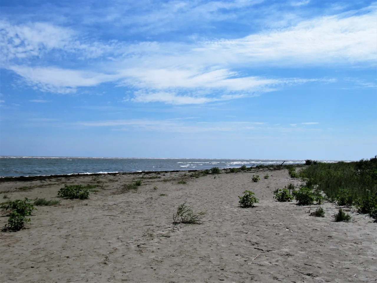 IMG_5474121c57.jpg