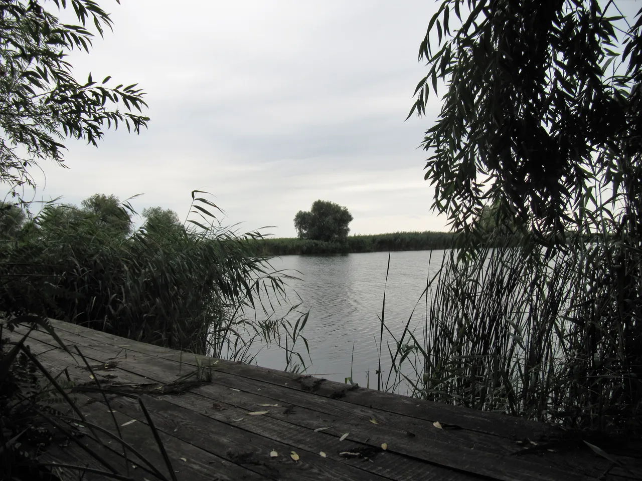 IMG_5295195821.jpg