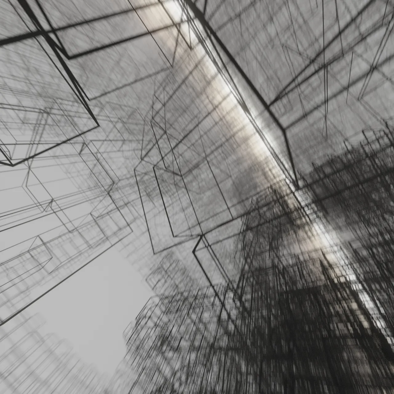 p7.jpg
