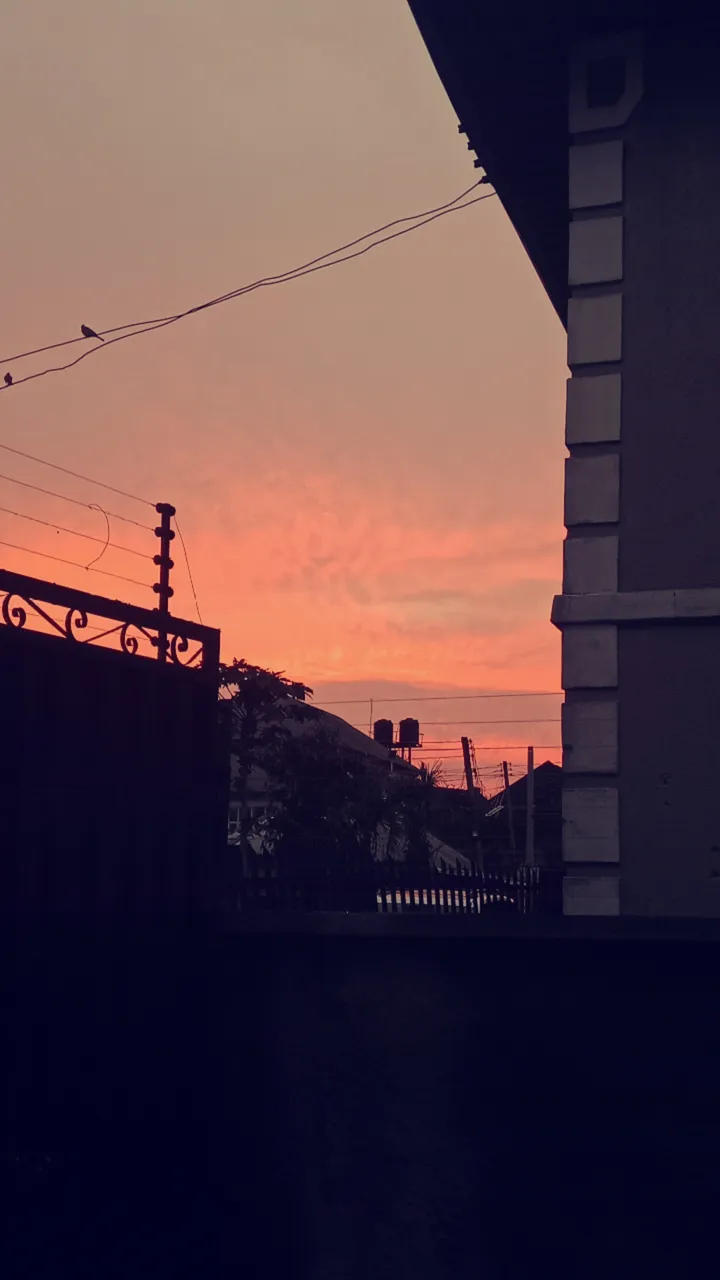 1001062834.jpg