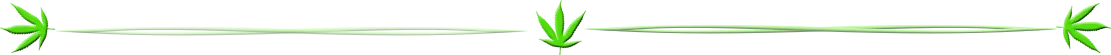 cannabis-hemp-weed-blog-divider