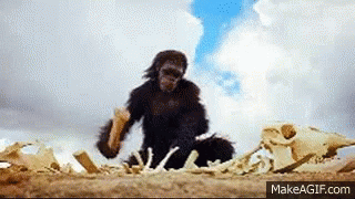 untitled.gif