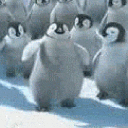 untitled.gif