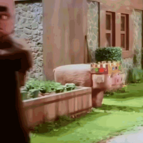 untitled.gif