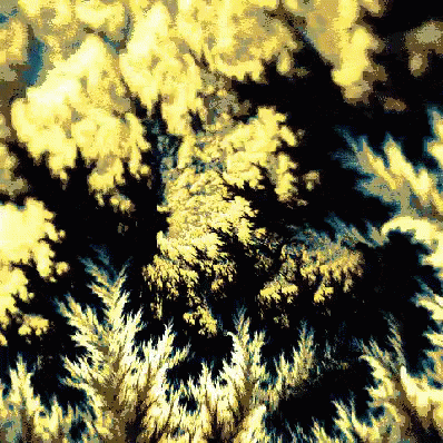 untitled.gif