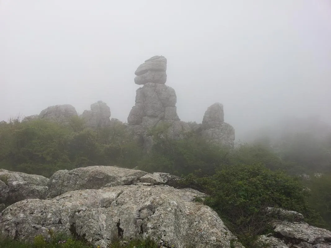 Mayo_2013._El_Torcal_1