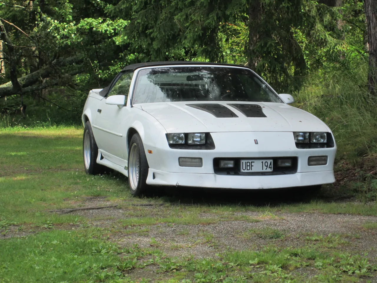 IMG_005622fef.jpg