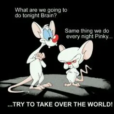 5e9da15aba96976b1931bdc6fc807e1f--pinky-and-the-brain-quotes-theme-song.jpg