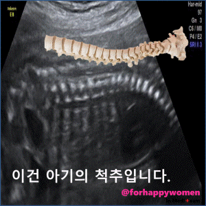 크기변환_슬라이드15.GIF
