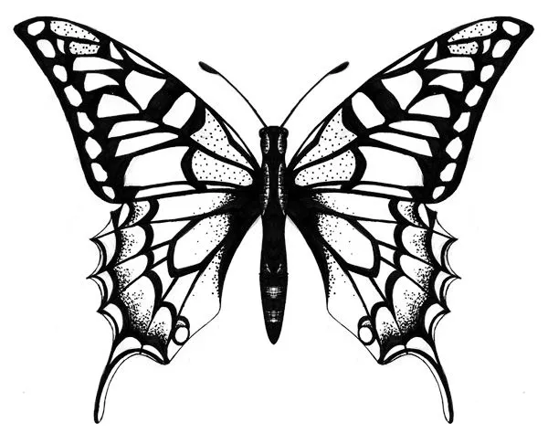 e7f1a3eaf14181d8dd25e675cbb59d15--butterfly-tattoo-designs-butterfly-design.jpg