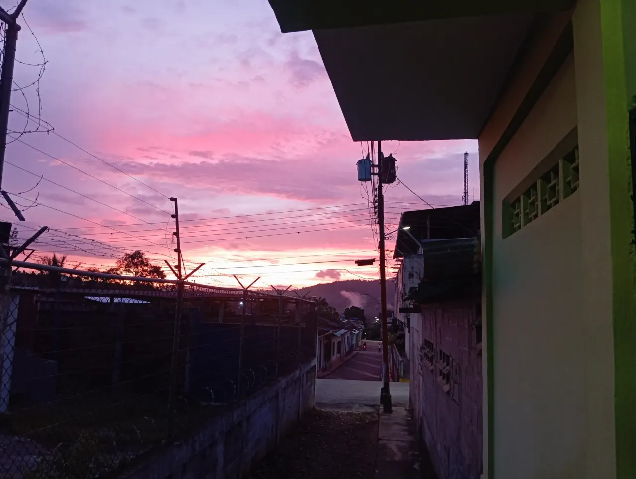 qzxBiA05TigrLPAb_1000663850.webp