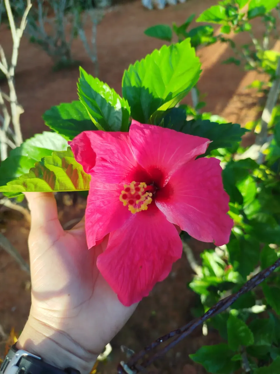 tBugSZrudaHjqy9J_1000571609.webp