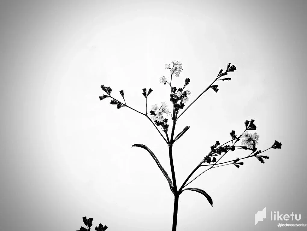 clgz7yjwo02sp3xsz7lzbcumh_1.webp