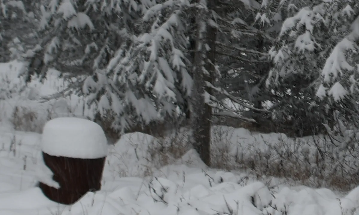 001 fake deep snow pic.jpg