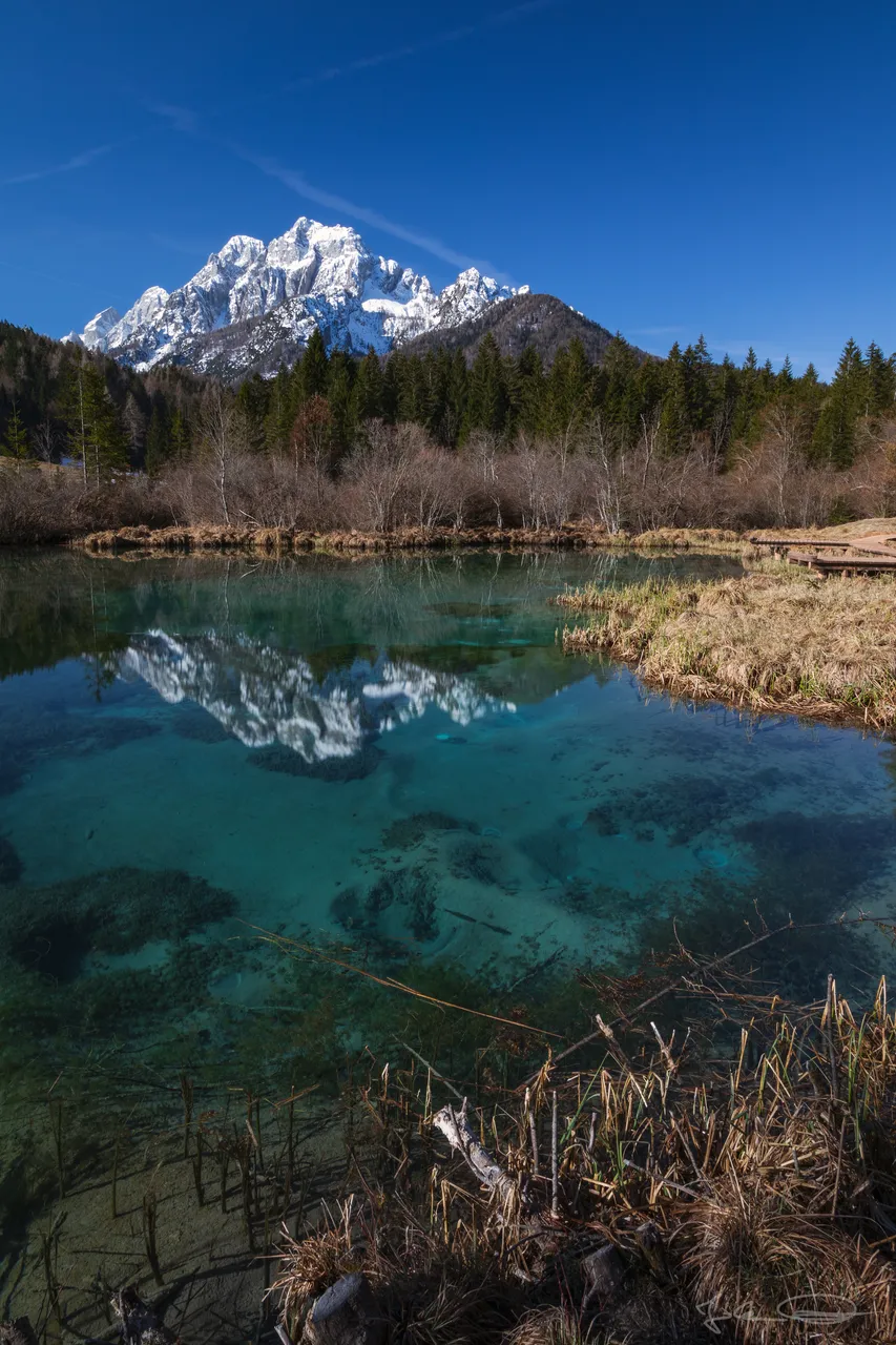 2019-03-24-Slovenia-Zelenci-05.jpg