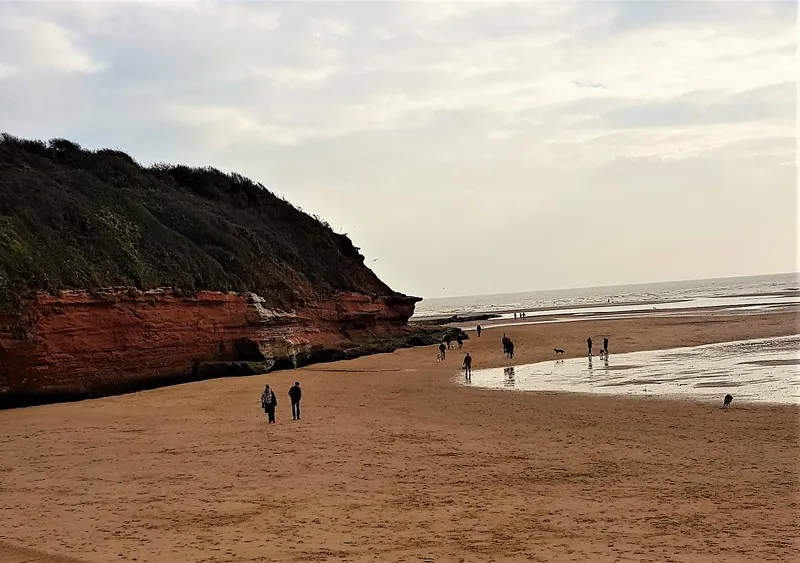 20181125_130803 (1) (Copy).jpg