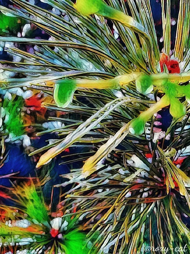 WaterMark_2018-12-30-20-47-56.jpeg