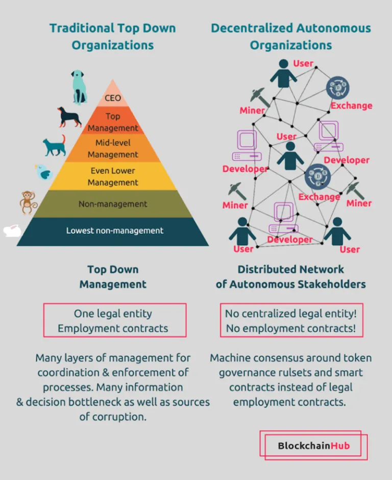 Top-down-organizations-768x939.png