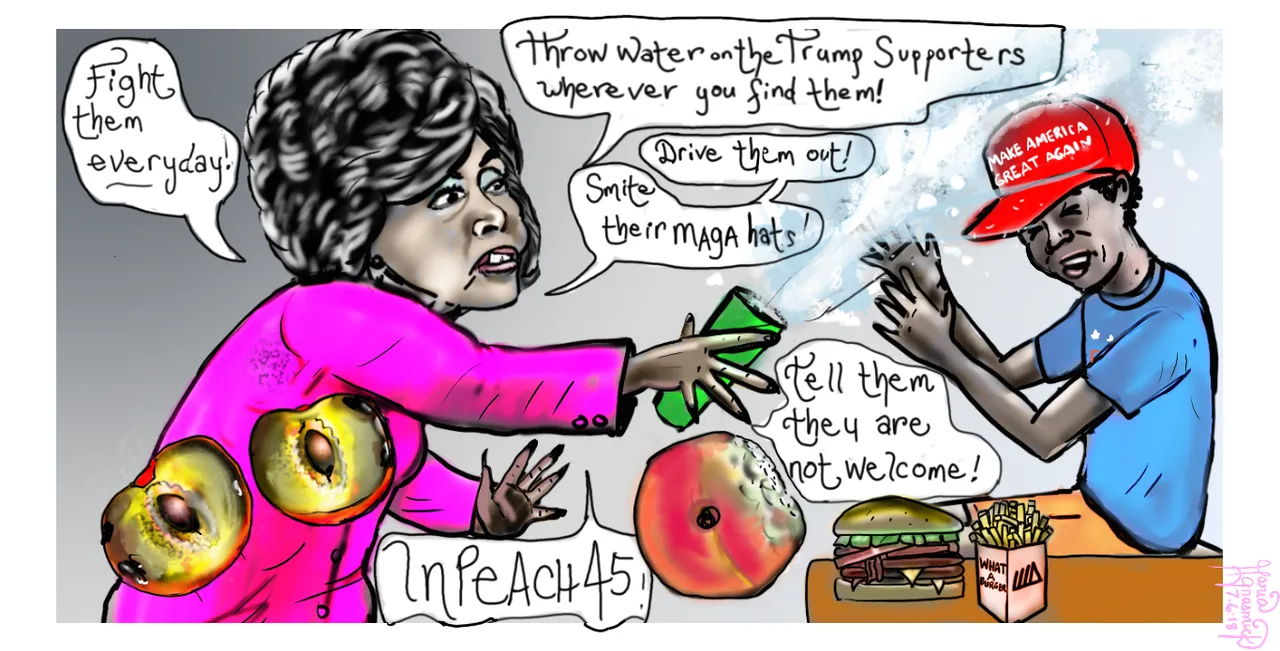 Maxine waters impeach 45.png