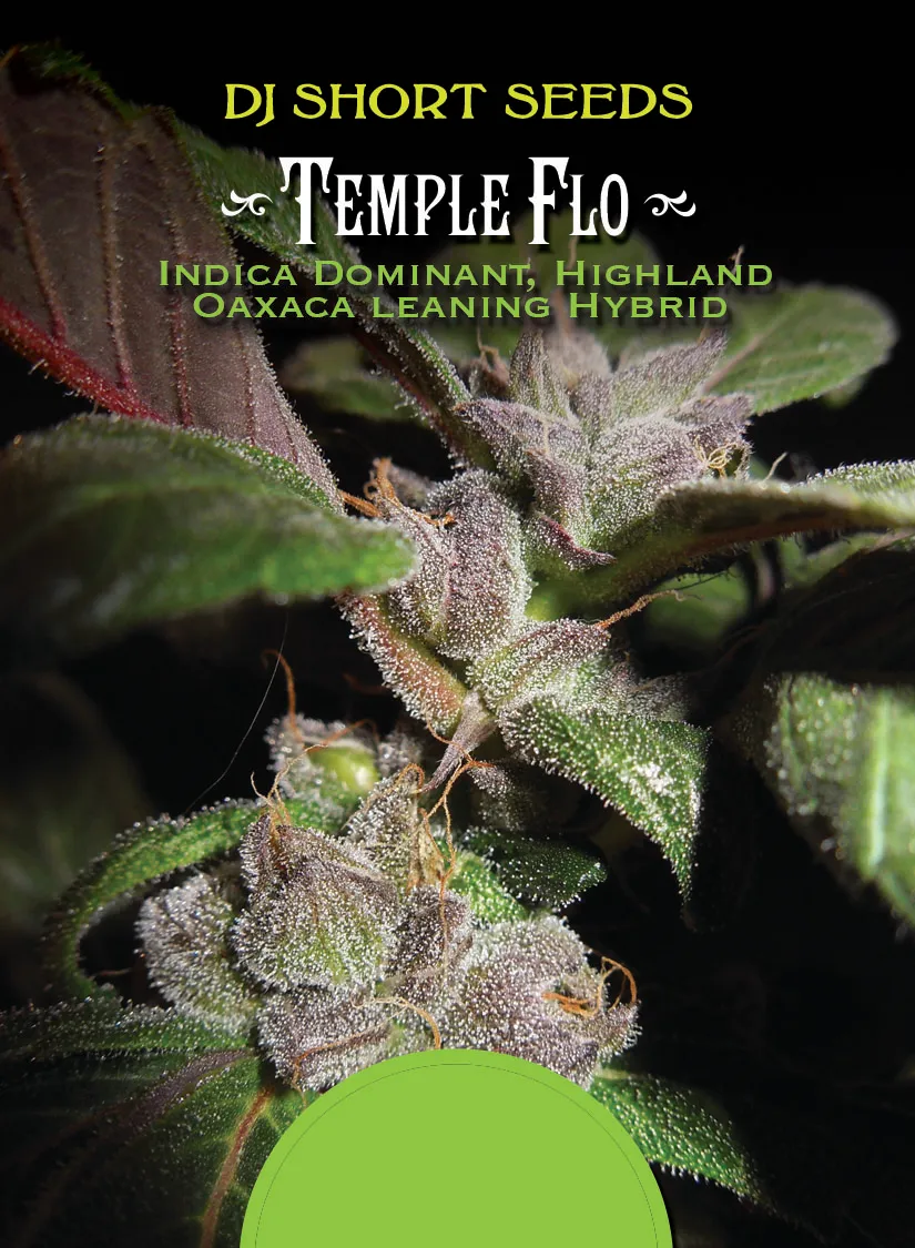 Temple Flo Card 3 Back.jpg