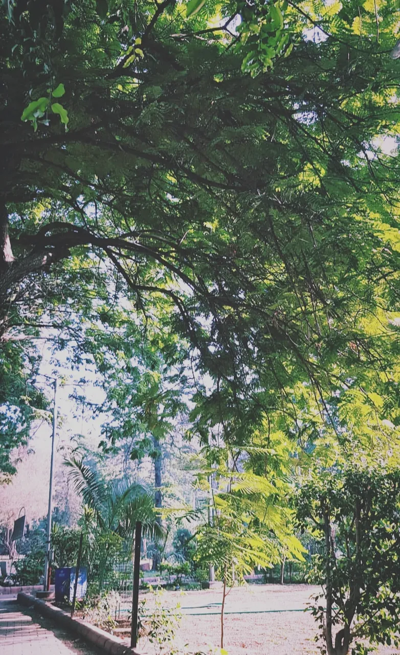 Screenshot_20190413-013501-01.jpeg