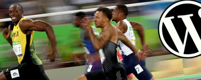 wordpress-hack-usain-bolt-jpg.jpeg