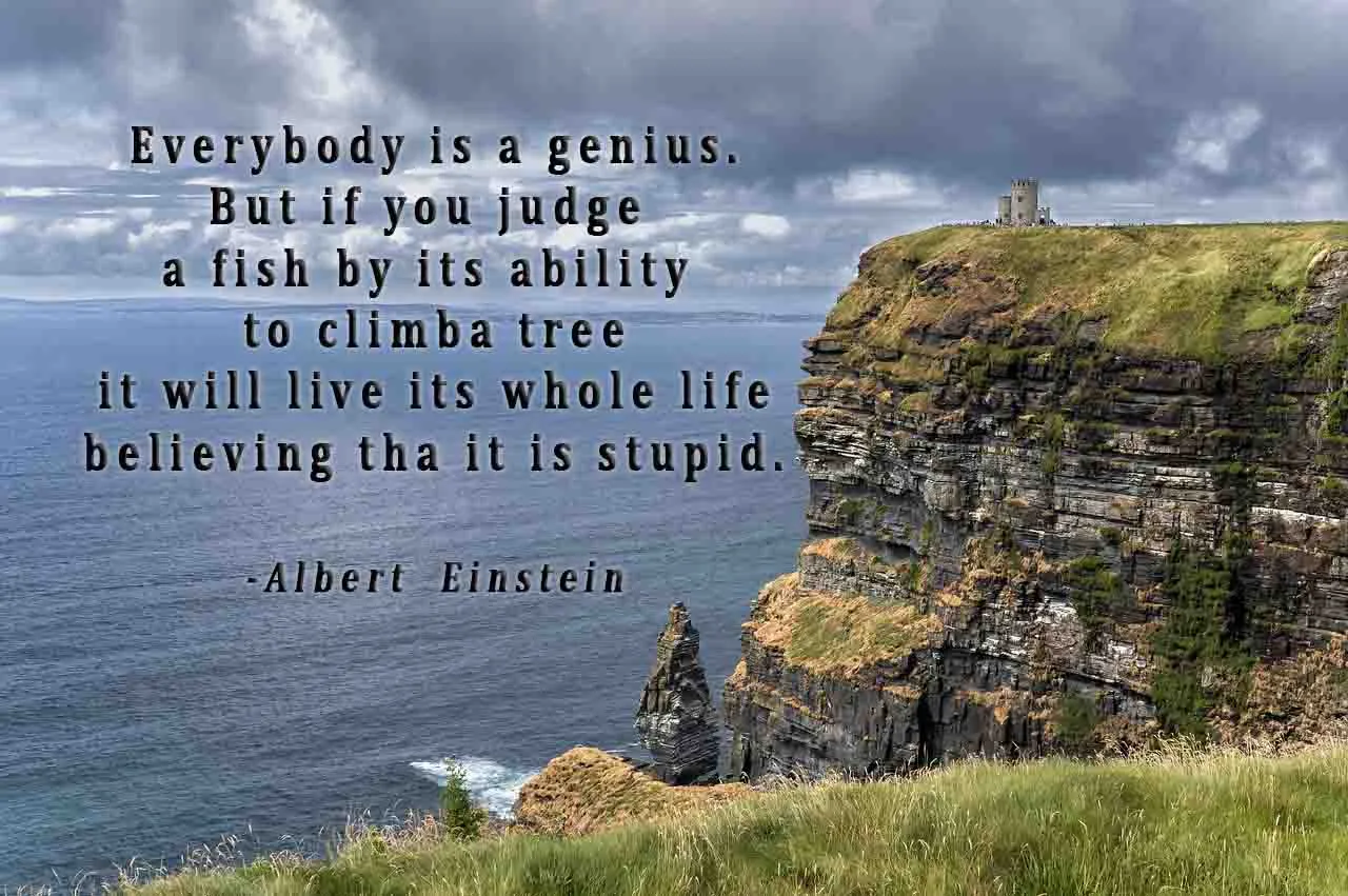 4e.Everybody is a genius.jpg