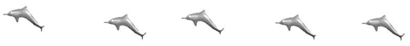 dolphin-divider-schamangerbert.png