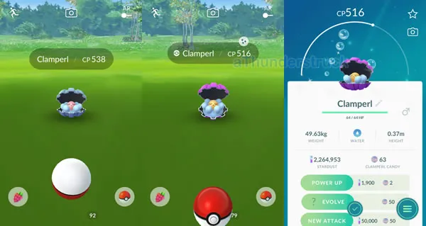First Clamperl and shiny.jpg