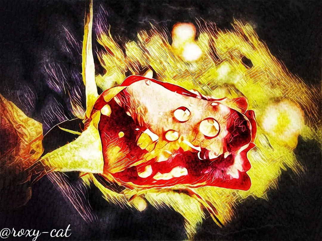 WaterMark_2019-01-20-20-25-33.jpeg