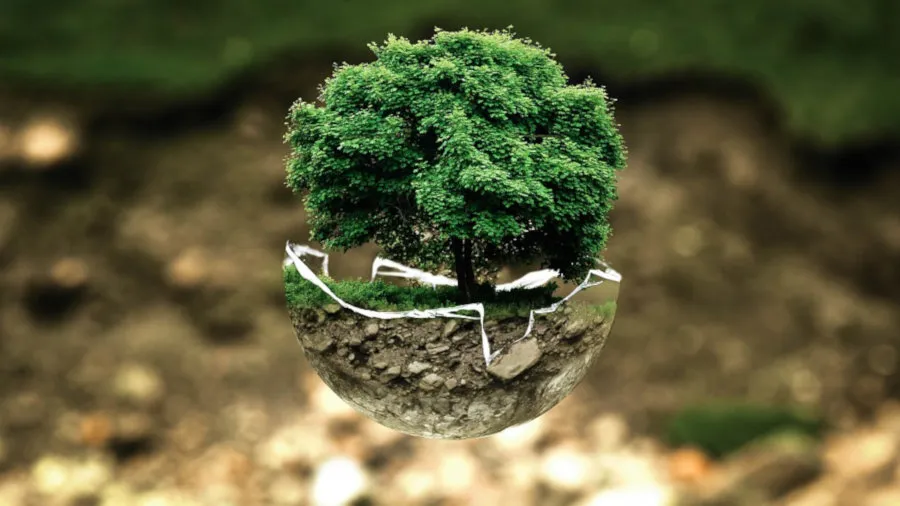 environmental-protection_small.jpg