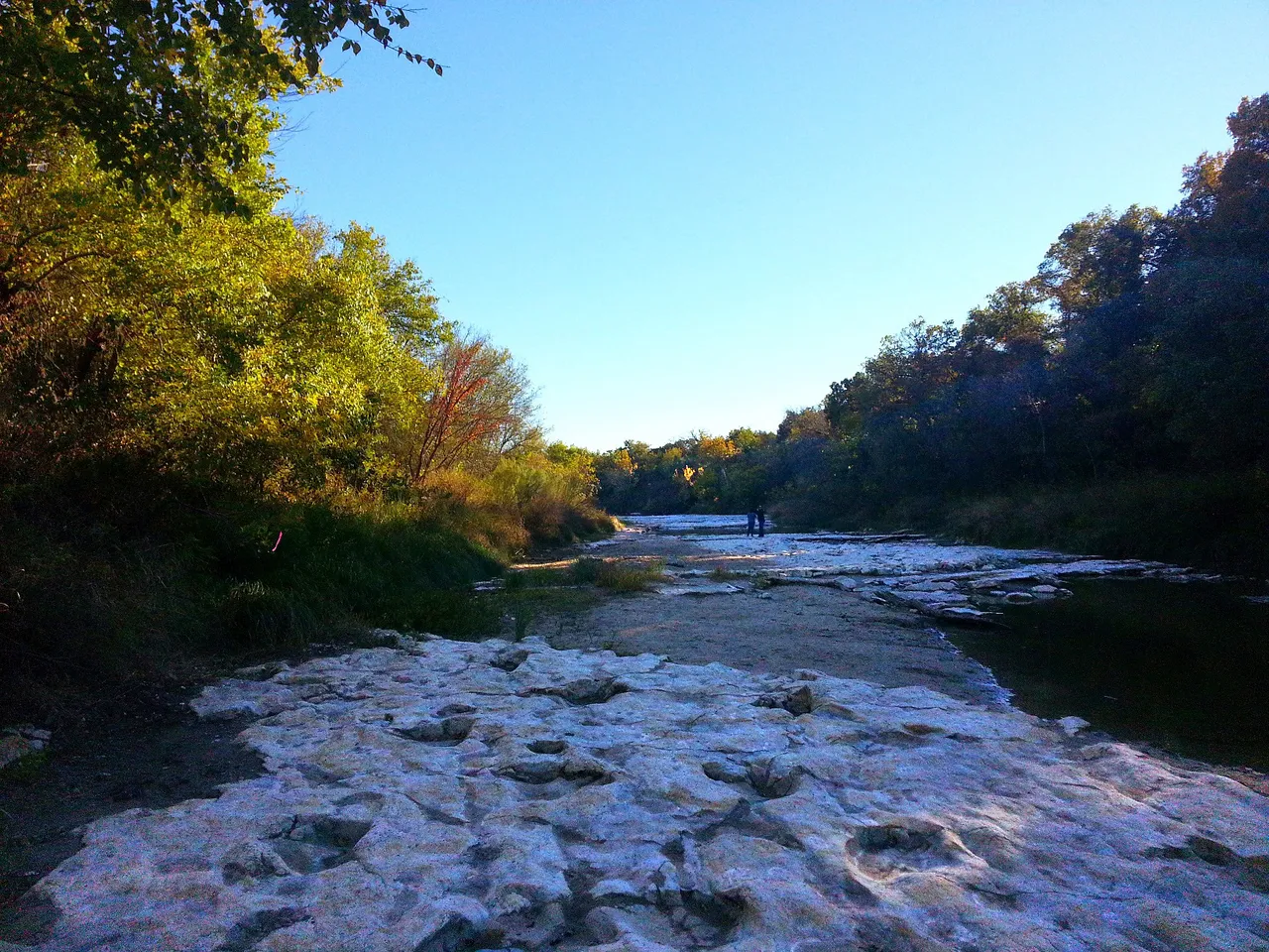 footprints in the paluxy.jpg